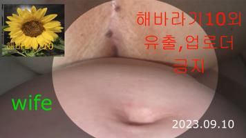 한국야동-(재미난대화)  마누라와 장모보지 비교영상1