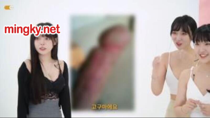 한국야동-고추에 환장하는 여자들  - 유투버 비행 유료영상  !!